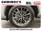 2024 Lexus NX 350 Base