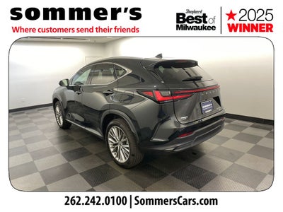 2024 Lexus NX 350h Luxury