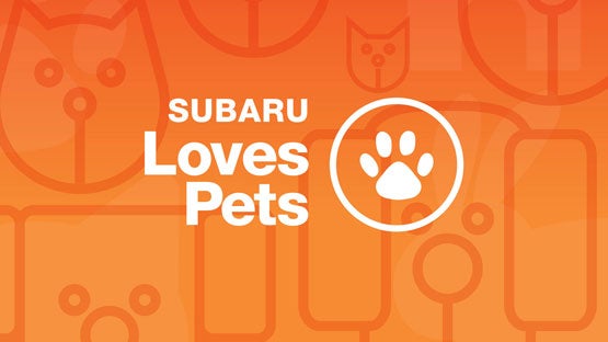 Sommer's Subaru in Mequon WI