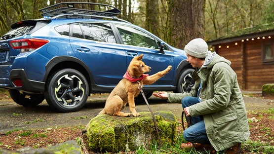 Sommer's Subaru in Mequon WI