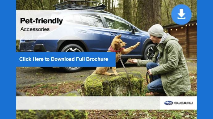 Sommer's Subaru in Mequon WI