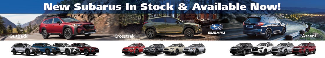 New Subarus in stock and available now